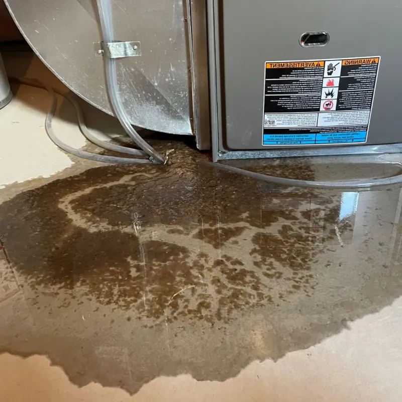 Pipe Burst and Leak Restoration in Maysville, KY